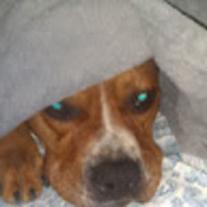 Meet your Posher, Patricia